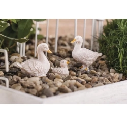 Mini Gęsi - mini akcesoria ogrodowe